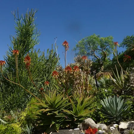 בית נופש El Tangaro *