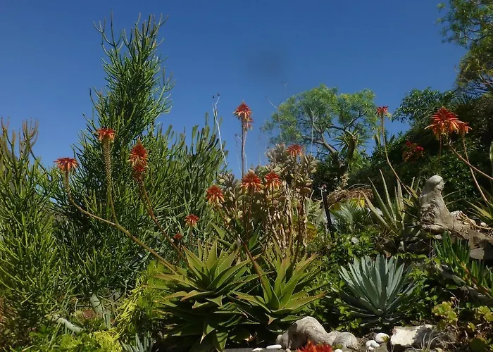 Дом отдыха El Tangaro *