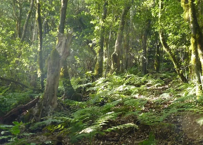 Дом отдыха El Tangaro *