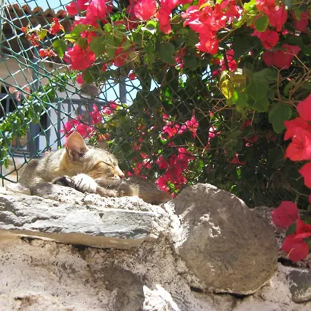 El Tangaro Vakantiehuis *